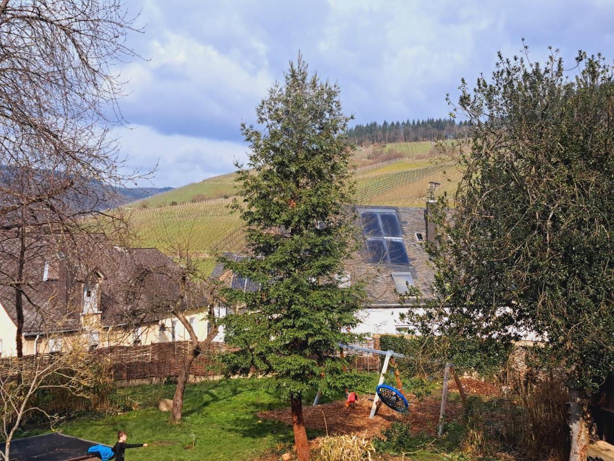 Haus Moselwald - 3 Bedrooms Enkirch Kültér fotó