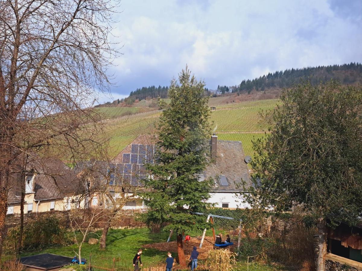 Haus Moselwald - 3 Bedrooms Enkirch Kültér fotó